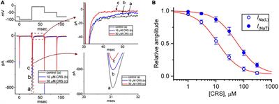 Concerted suppressive effects of carisbamate, an anti-epileptic alkyl-carbamate drug, on voltage-gated Na+ and hyperpolarization-activated cation currents